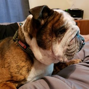 Meet your Posher, Armando